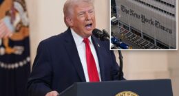 Trump calls out âfailing New York Timesâ for embarrassing NATO error in paper